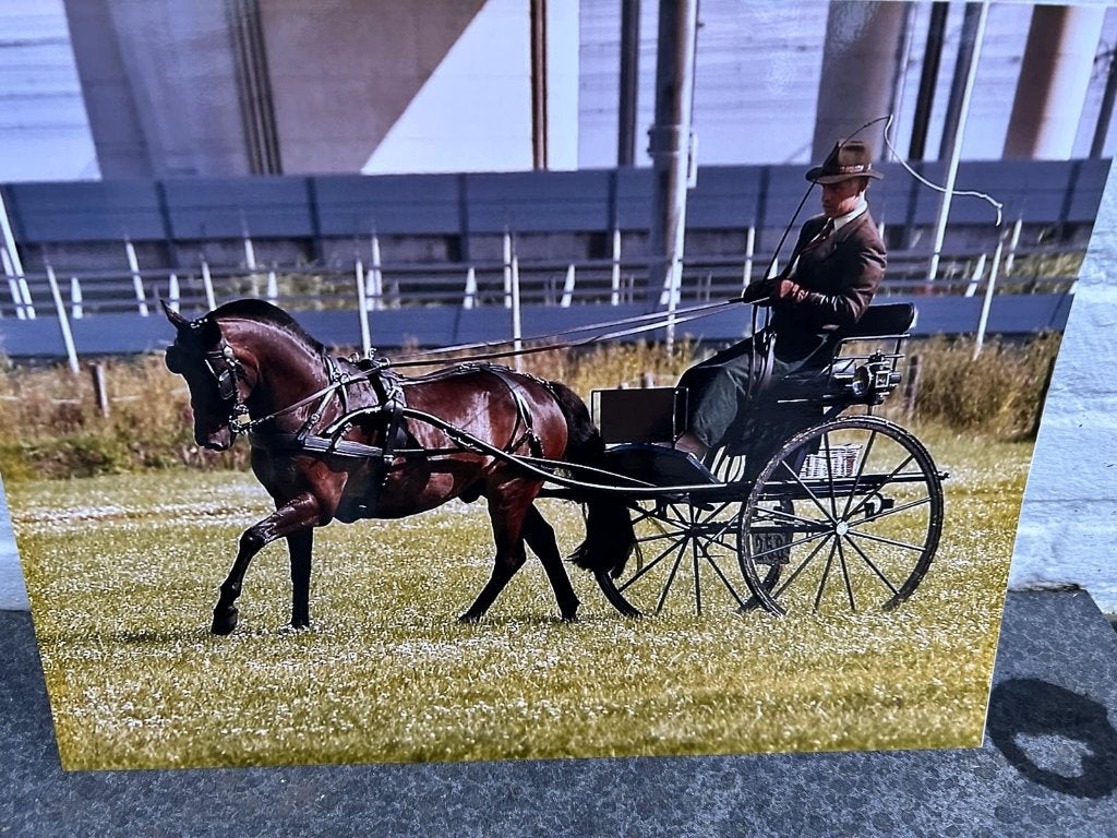 Claessen tuig en dressuur rijtuig, Dieren en Toebehoren, Rijtuigen en Koetsen, Zo goed als nieuw, Overige typen, Pony