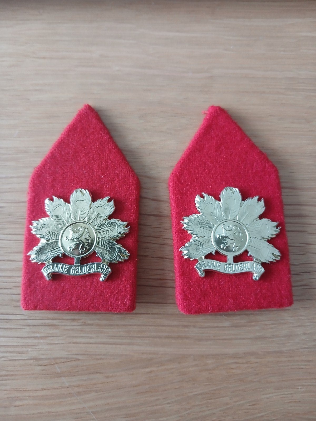 Kraagspiegels Regiment Infanterie Oranje Gelderland (RIOG), Verzamelen, Militaria | Algemeen, Ophalen of Verzenden, Landmacht