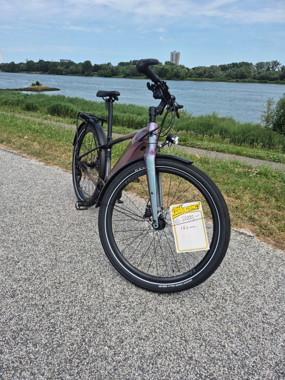 Liv Thrive E+ EX PRO, Zo goed als nieuw, 50 km per accu of meer, Giant Manufacturing Co. Ltd., Giant