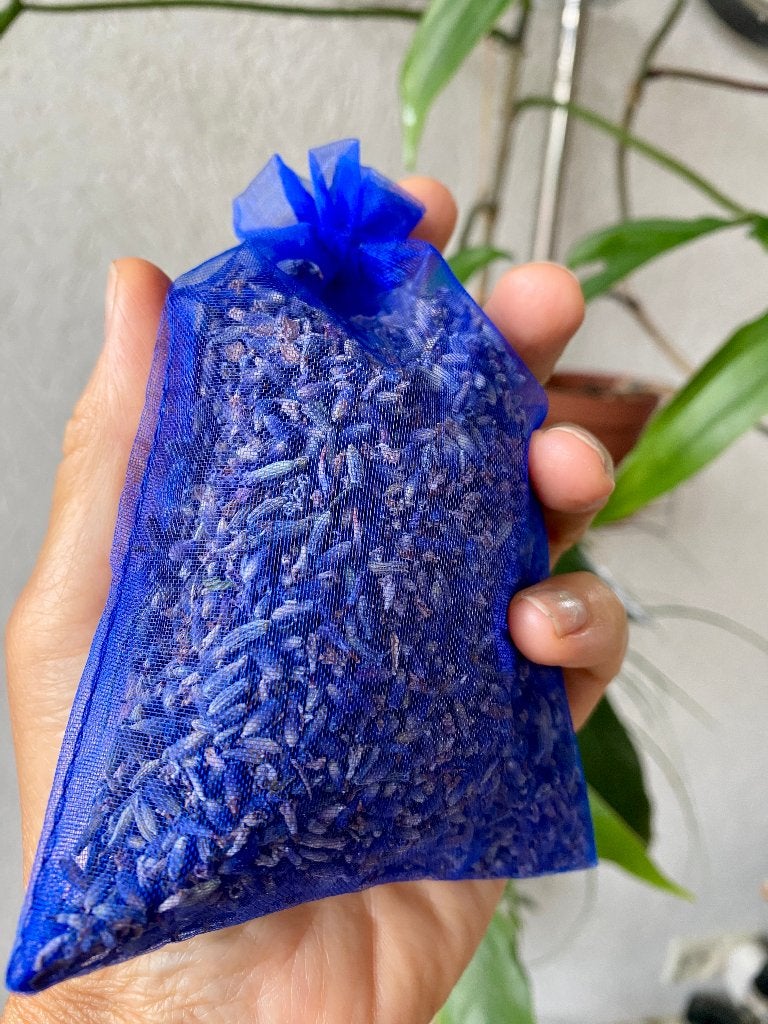 Lavendel & Lavandin Geurzakjes 20 gr, 10X15cm, Ophalen of Verzenden, Zomer, Overige soorten, Volle zon