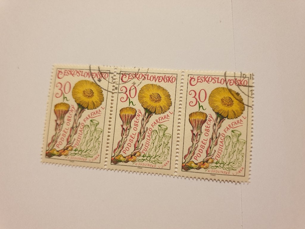 0510 tsjechoslowakije kleine hoefblad 1965 - blok van 3, Verzenden, Overige landen