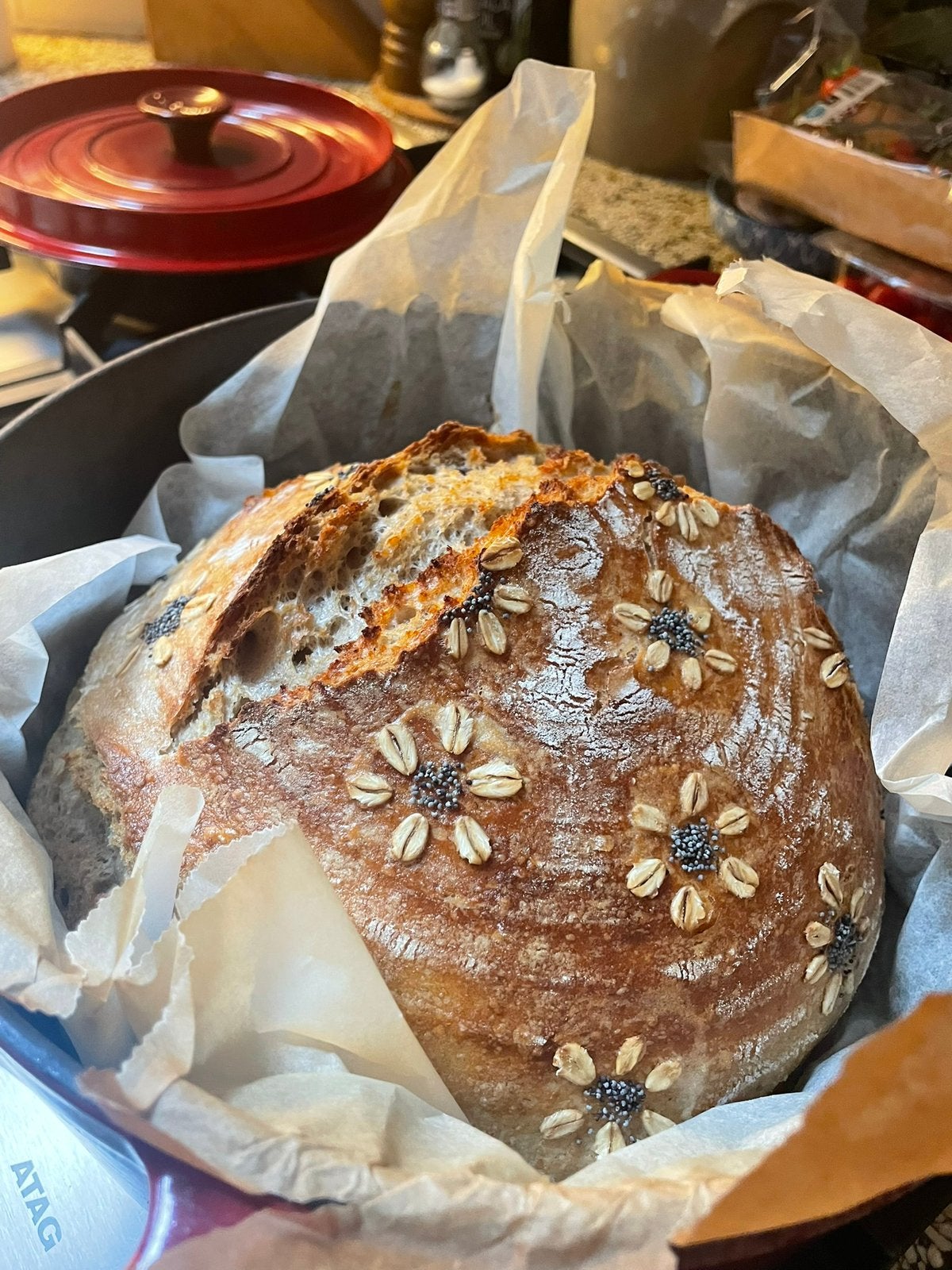 Zuurdesem starter (biologische), Ophalen of Verzenden