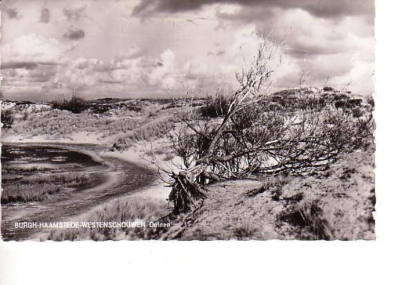 Ansichtkaart	Burgh-Haamstede Westenschouwen	Duinen, Verzenden, 1960 tot 1980, Gelopen, Zeeland