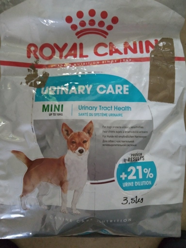 urinary hond, Ophalen, Hond