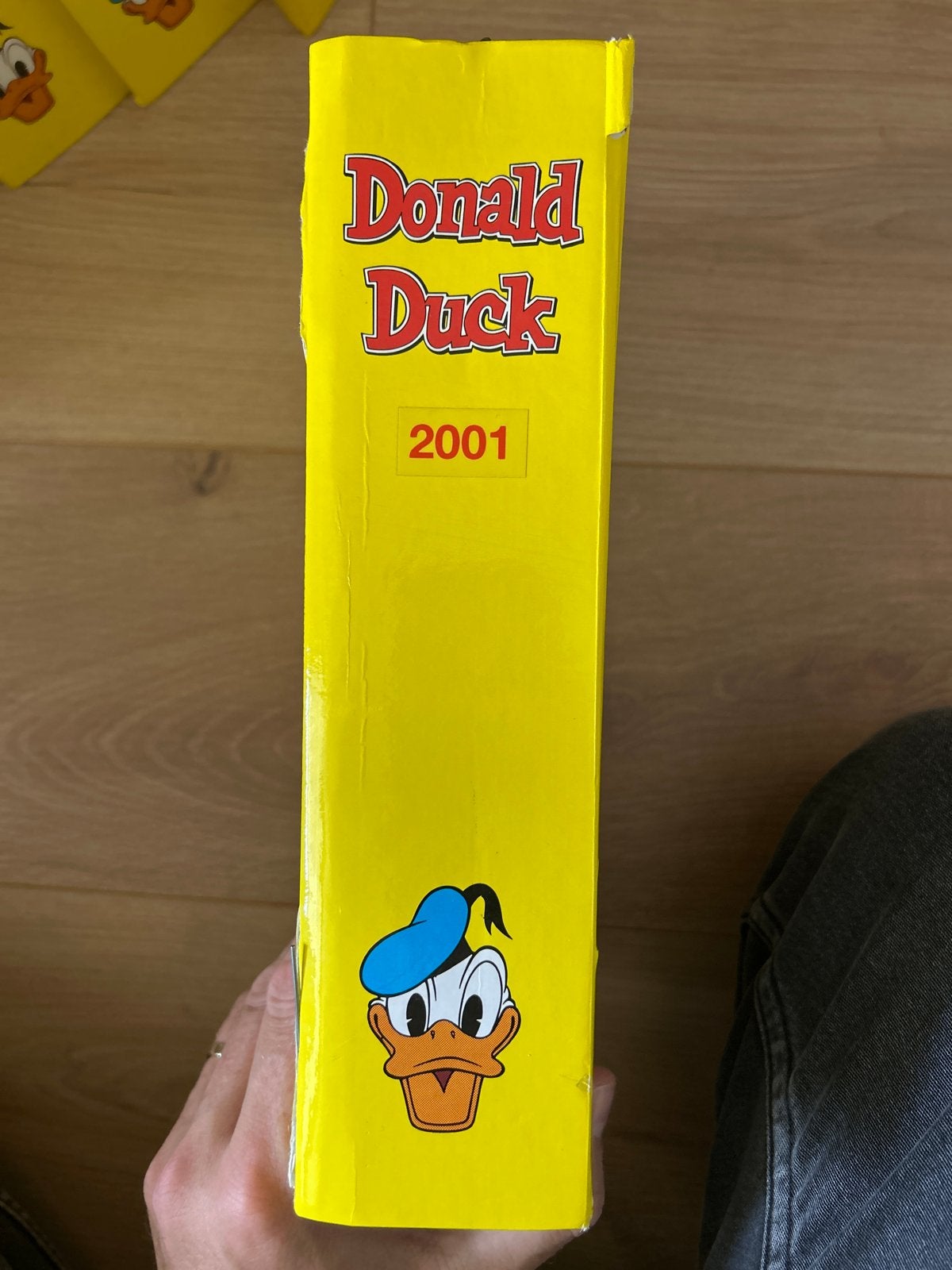 Donald Duck Bundel 2001, Boeken, Meerdere stripboeken, Ophalen of Verzenden, Zo goed als nieuw