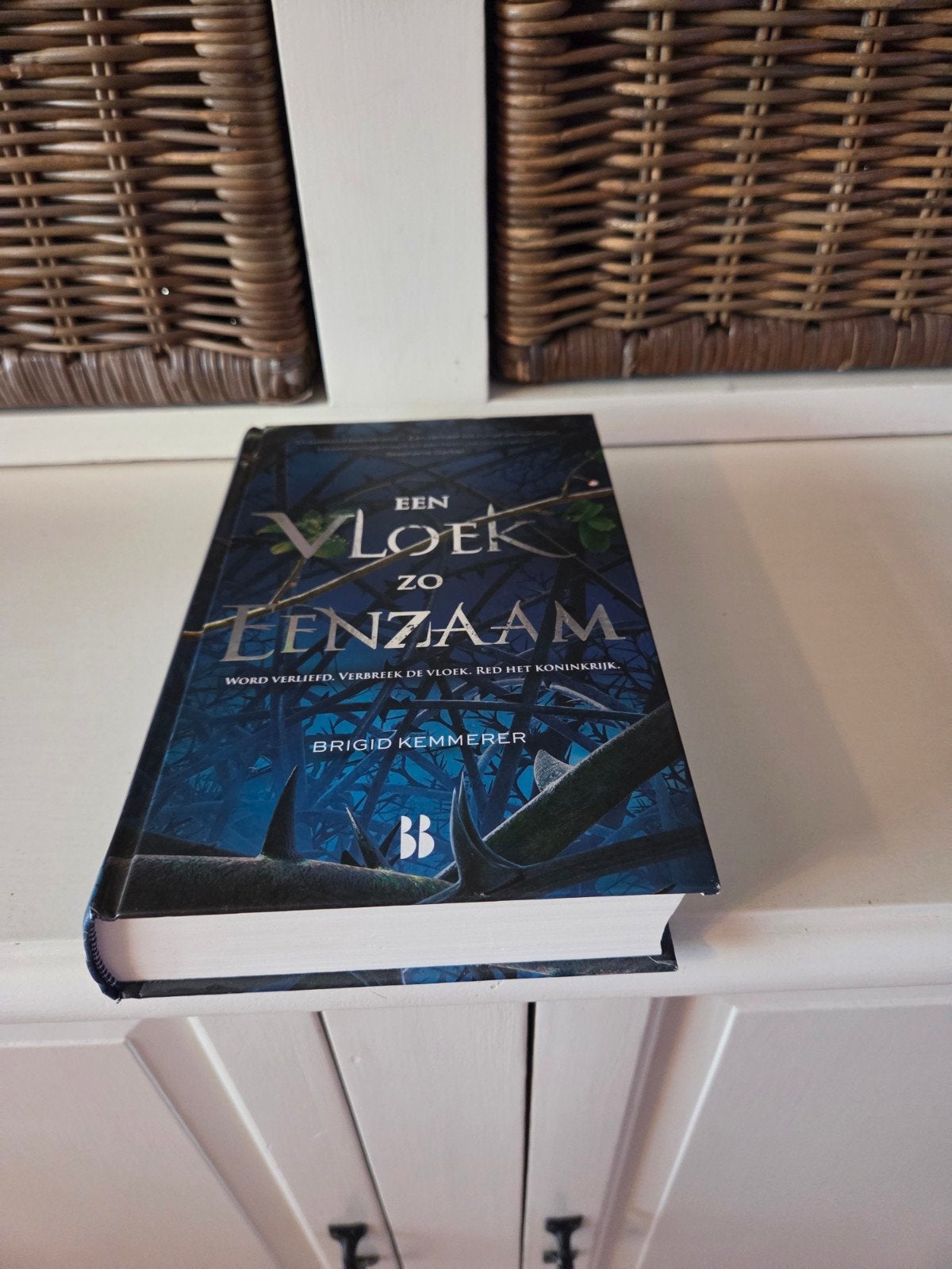 Brigid Kemmerer - Een vloek zo eenzaam, Ophalen of Verzenden, Zo goed als nieuw, Brigid Kemmerer