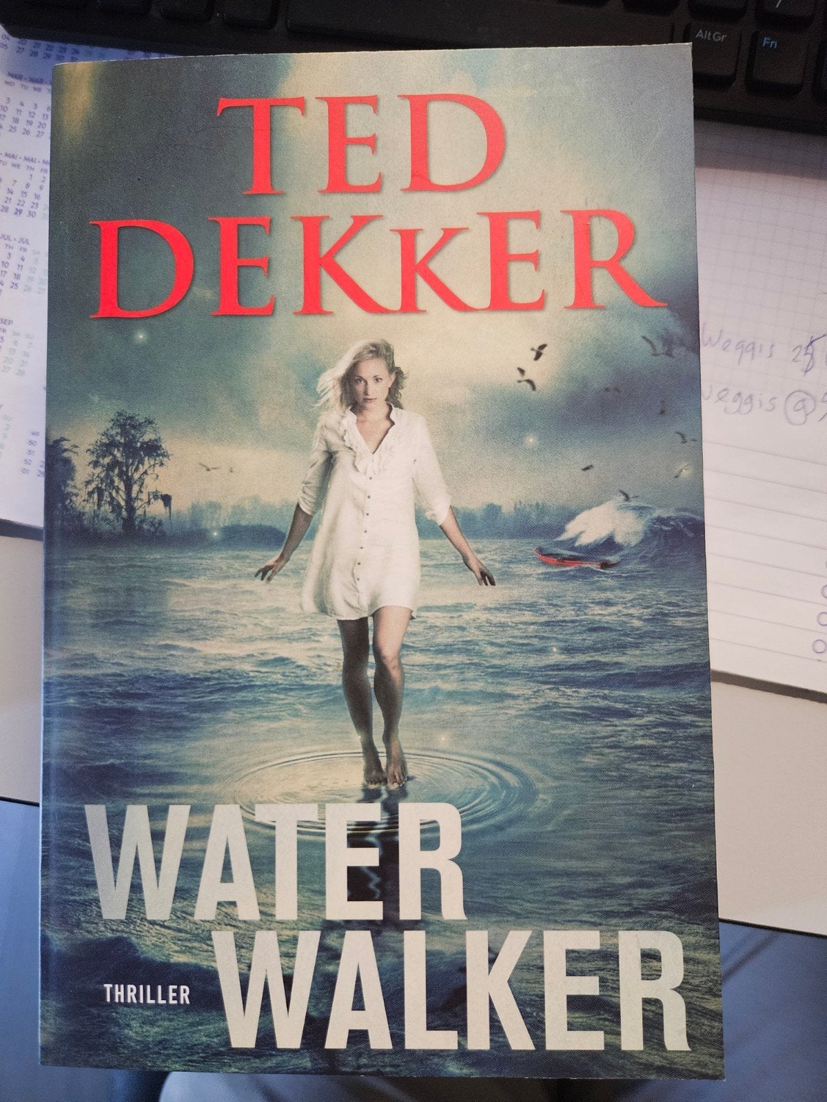 Ted Dekker - Water Walker (Thriller), Verzenden, Zo goed als nieuw, Ted Dekker, Amerika