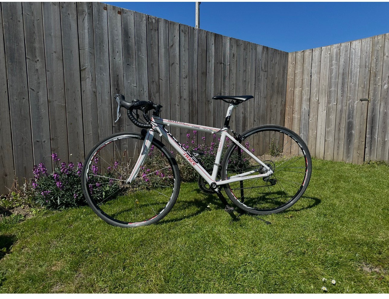 “Beroemde” Scatto junior race/ wielrenfiets/ kinder fiets, Fietsen en Brommers, Fietsen | Racefietsen, Gebruikt, Aluminium, Minder dan 49 cm