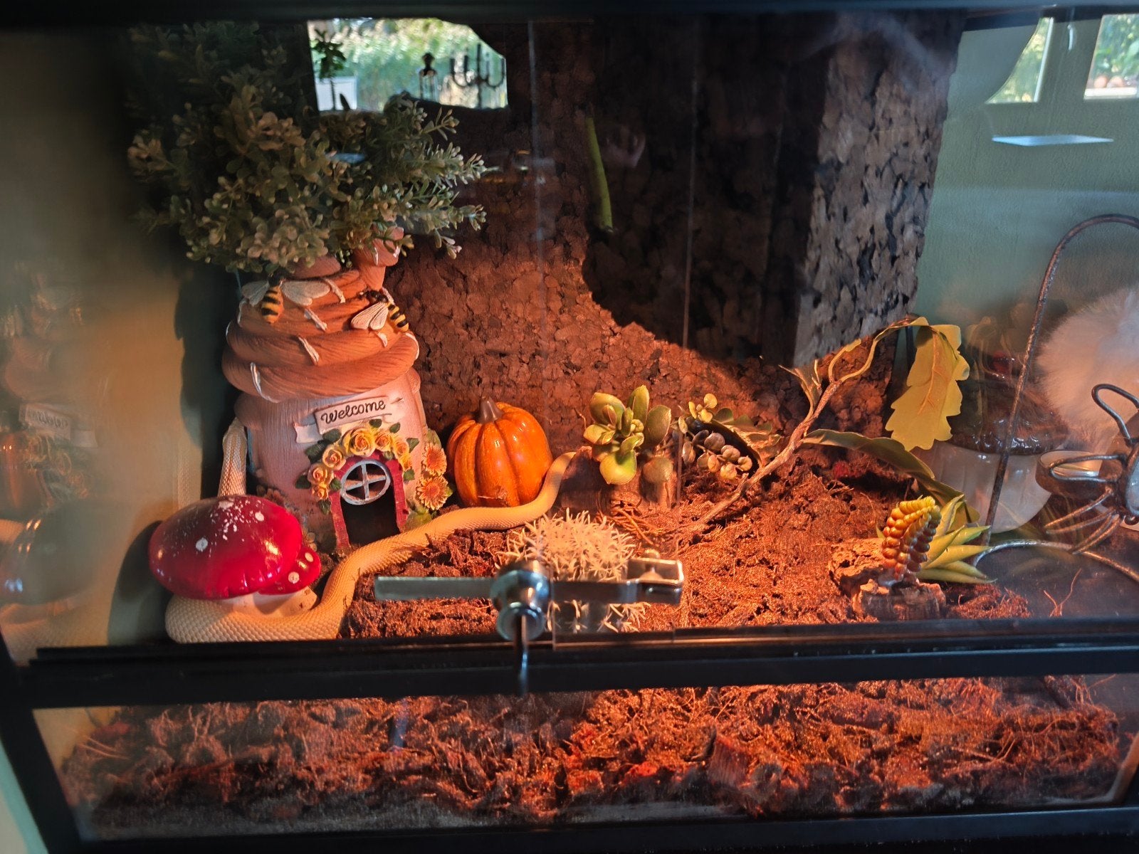 heterodon nasicus haakneusslang Hognose Snake photo 5