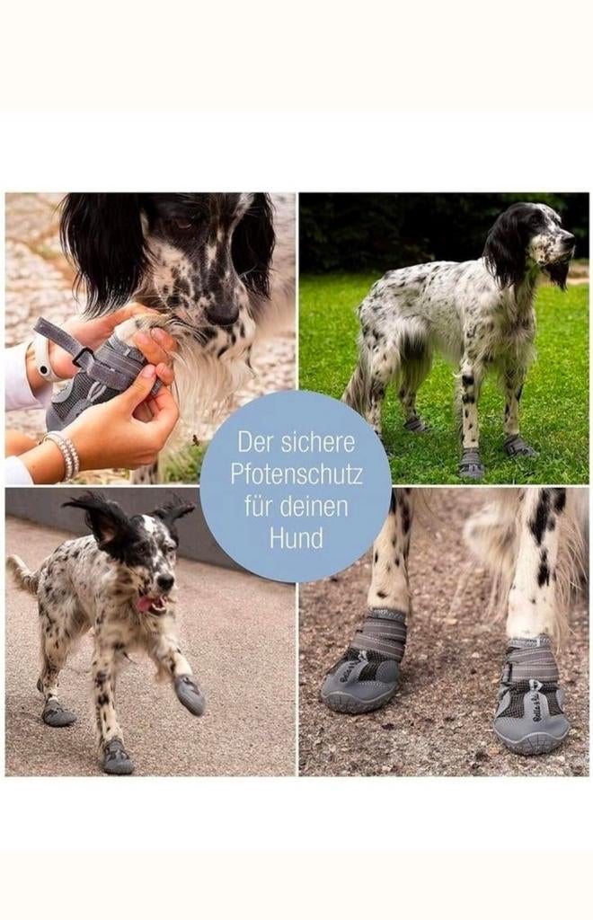 Bella & Balu Hondenschoenen Maat S - Nieuw, -, -, Nieuw, Ophalen of Verzenden