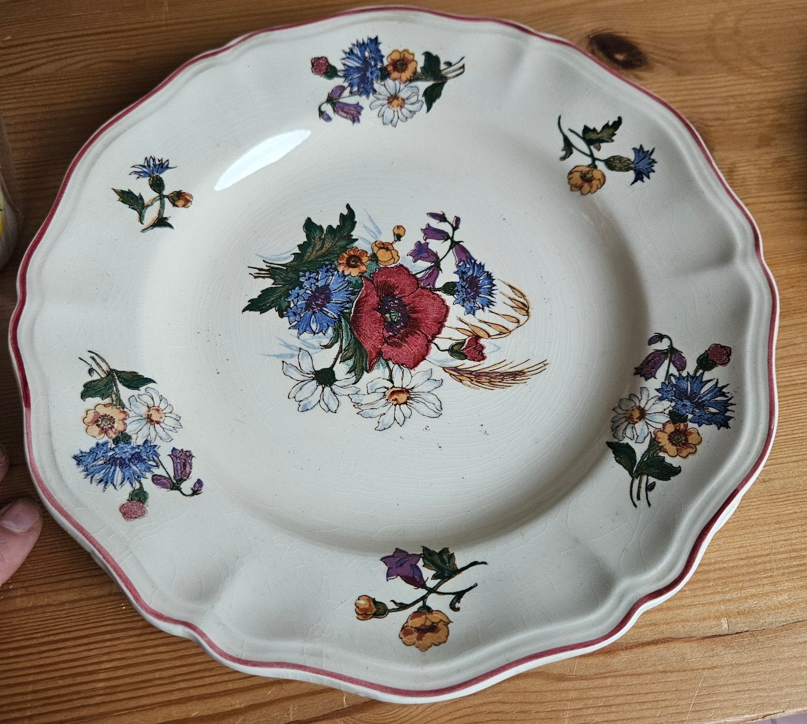 Vintage Sarreguemines Agreste borden, Ophalen