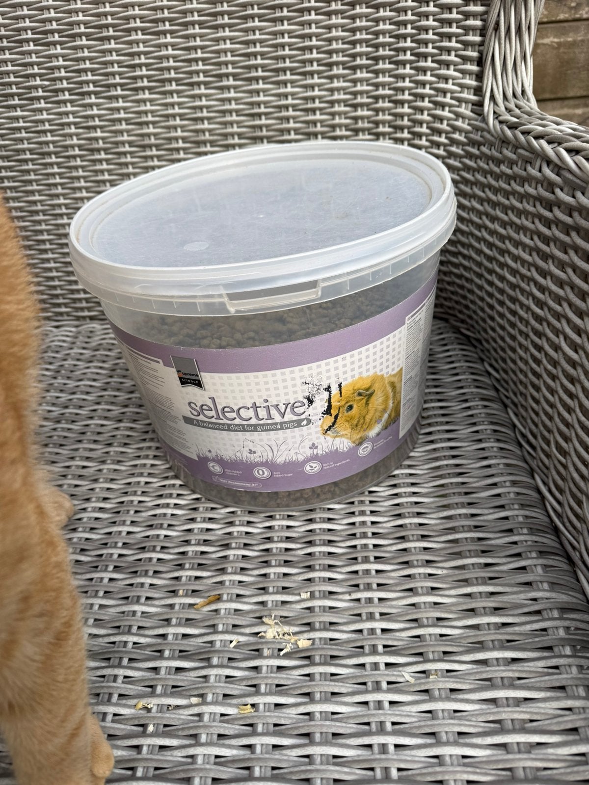 Selective caviavoer, Dieren en Toebehoren, Ophalen, Knaagdier of Konijn