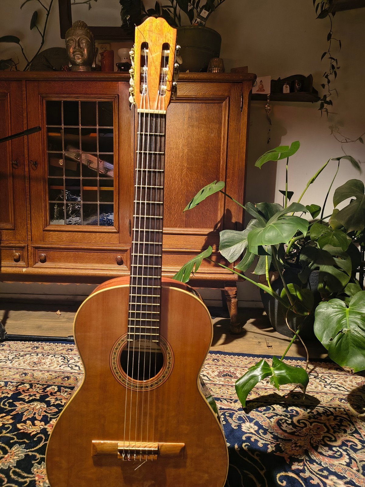 klassieke gitaar juan Salvador cedro 4/4 solid top., Muziek en Instrumenten, Snaarinstrumenten | Gitaren | Akoestisch, Ophalen