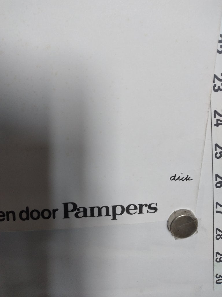 Dick Bruna Pampers ski posters, Ophalen of Verzenden, A1 t/m A3, Reclame, Rechthoekig Staand