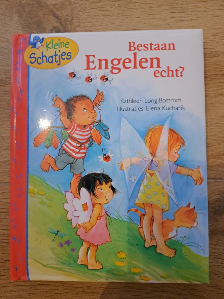 Bestaat Engelen Echt? - Kinderboek Kleine Schatjes, Boeken, Ophalen of Verzenden, Zo goed als nieuw, Kathleen Long Bostrom, 0 tot 6 maanden