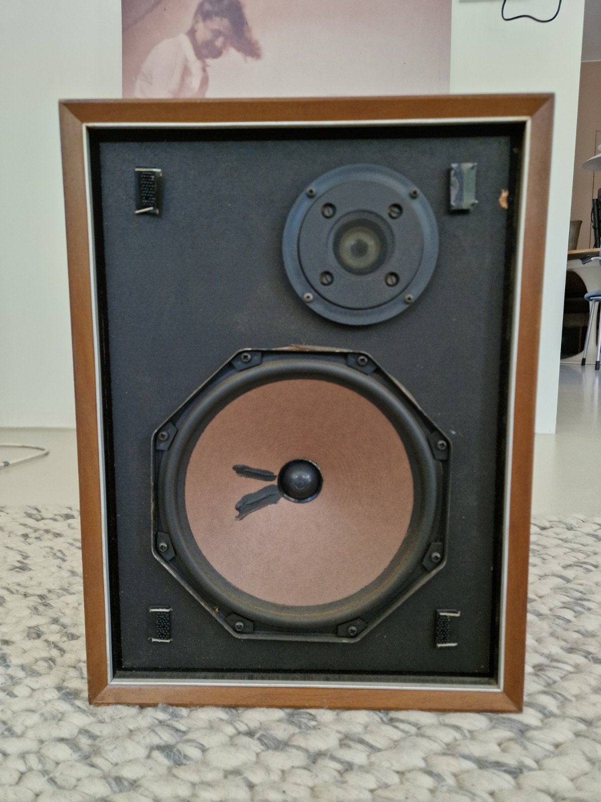 Philips 22RH423/01Z Vintage Boekenplank Luidspreker, Audio, Tv en Foto, Luidsprekers, Philips, Gebruikt, Ophalen of Verzenden