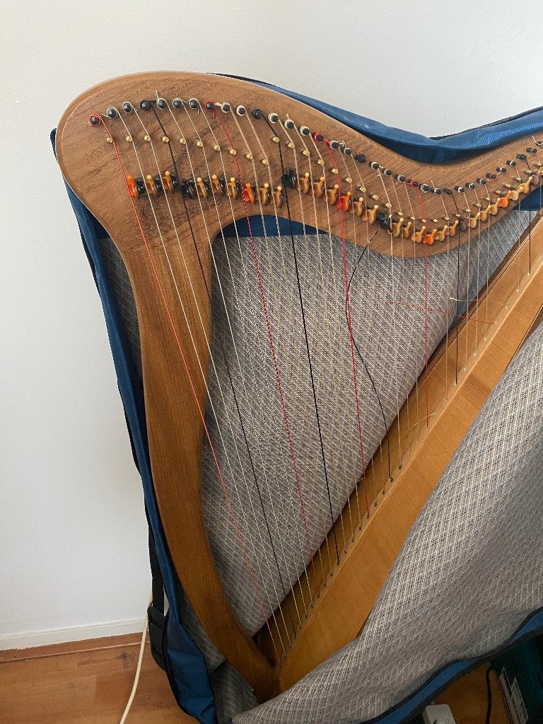 pilgrim harp, Muziek en Instrumenten, Snaarinstrumenten | Harpen, Ophalen, Zo goed als nieuw