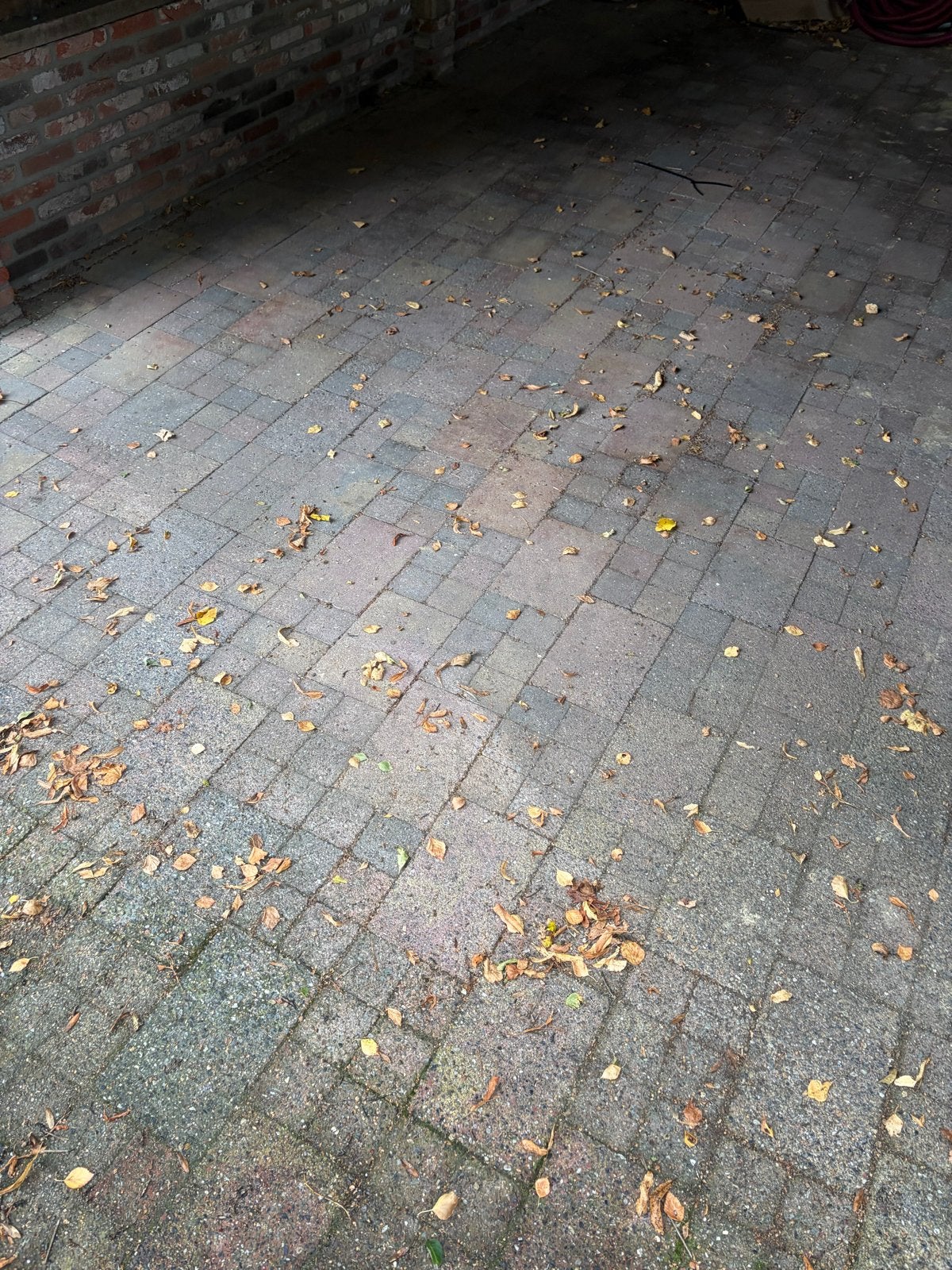 Gratis gebruikte terrastegels - 240 m2, Gebruikt, Ophalen of Verzenden, 10 m² of meer, Beton