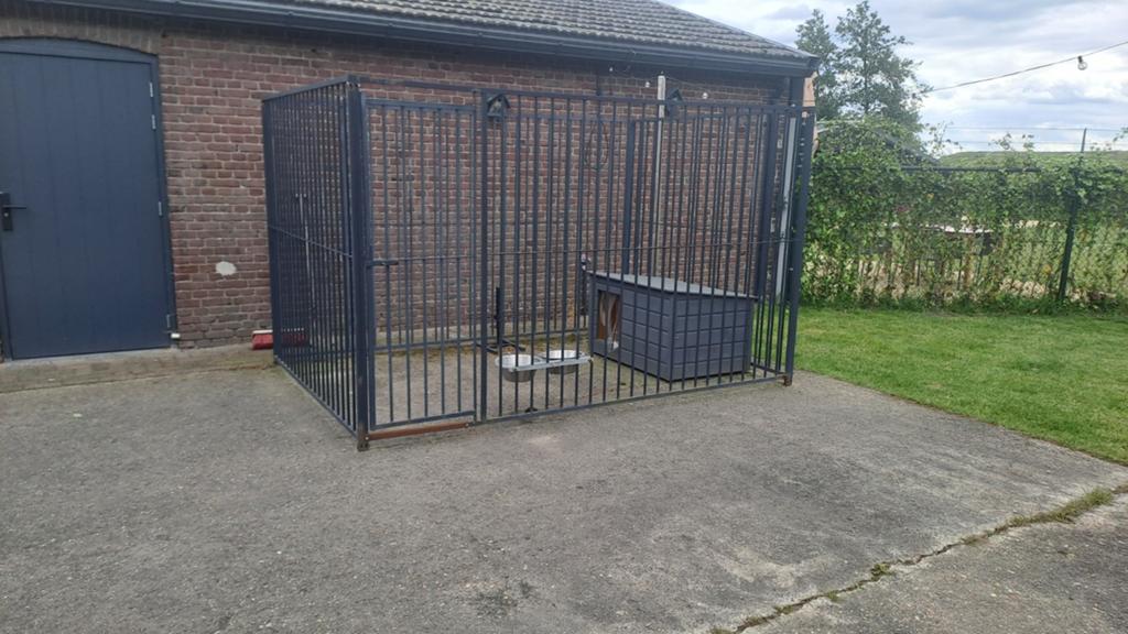 Hondenren met buitenverblijf, Ophalen of Verzenden