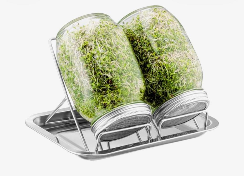 Kiempotten kiemen kiem potten kweekpotten, Tuin en Terras, Kweekspullen, Nieuw, Overige typen, Ophalen of Verzenden