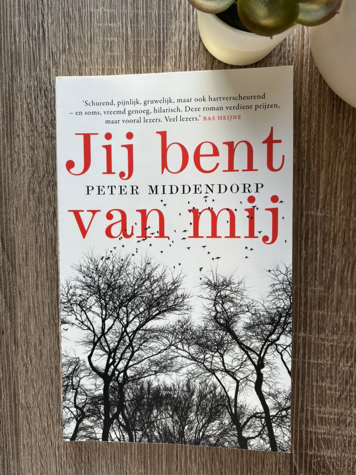 Boek Jij bent van mij, Boeken, Verzenden, Zo goed als nieuw, Nederland