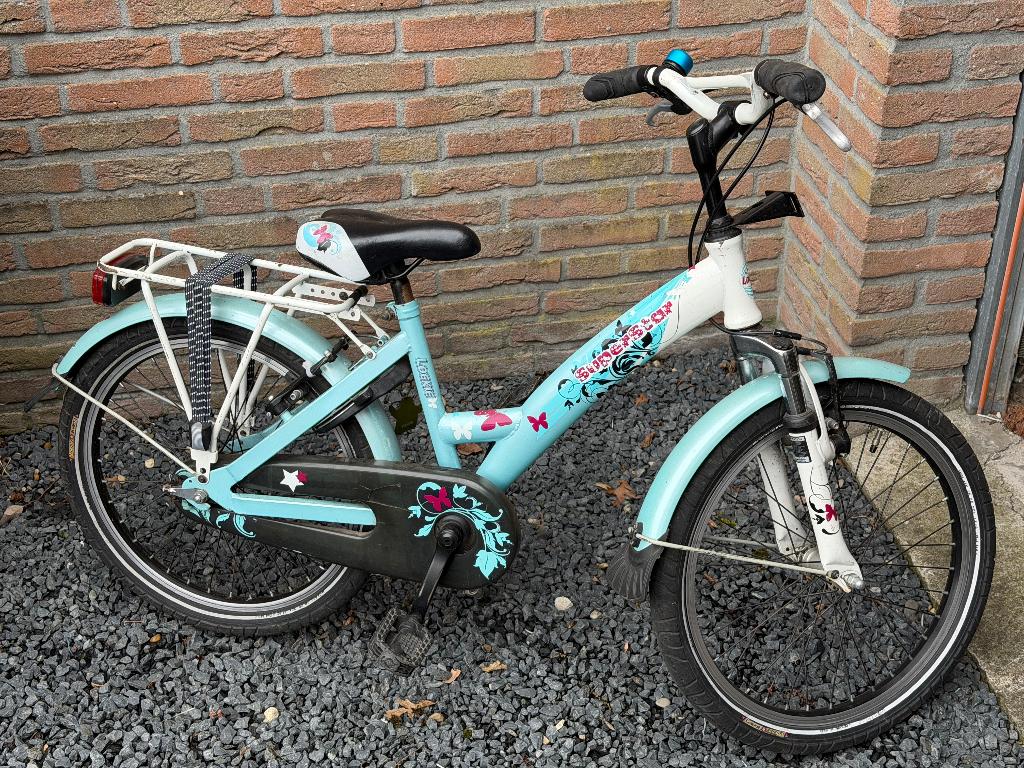 Kinderfiets, Ophalen, Gebruikt, Velgrem, Loekie
