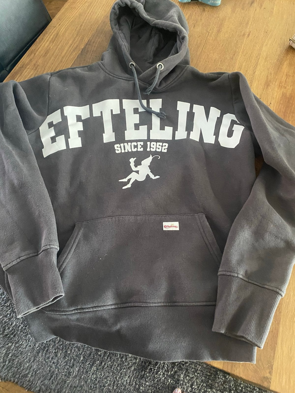 Efteling hoodie grijs maat S/M, Ophalen of Verzenden, Gedragen