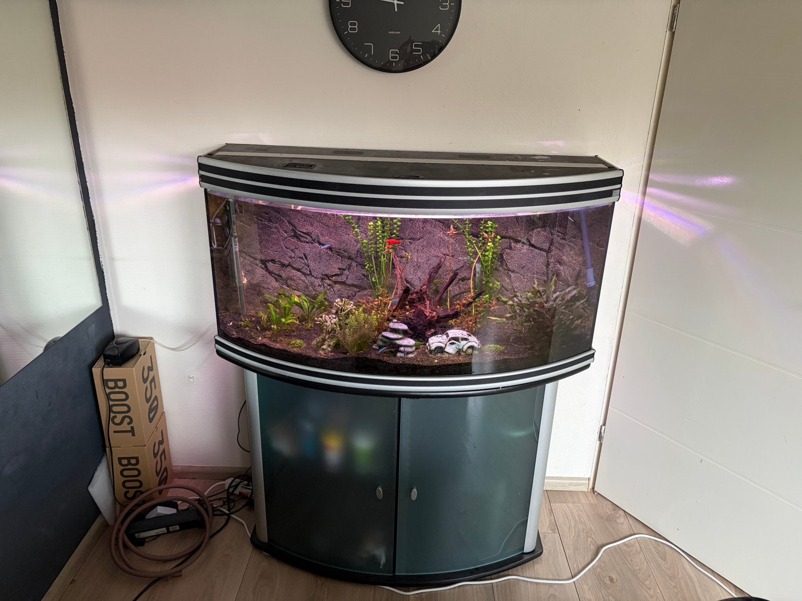 Aquarium Aqualantis 250 liter, Dieren en Toebehoren, Vissen | Aquaria en Toebehoren, Ophalen, Gebruikt, Aquatlantis, Inclusief vissen