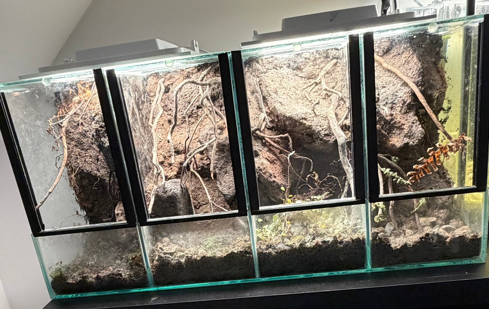 4 vaks Terrarium ingericht 60 x 30 x 20 cm br x h x diepte, Ophalen, Zo goed als nieuw