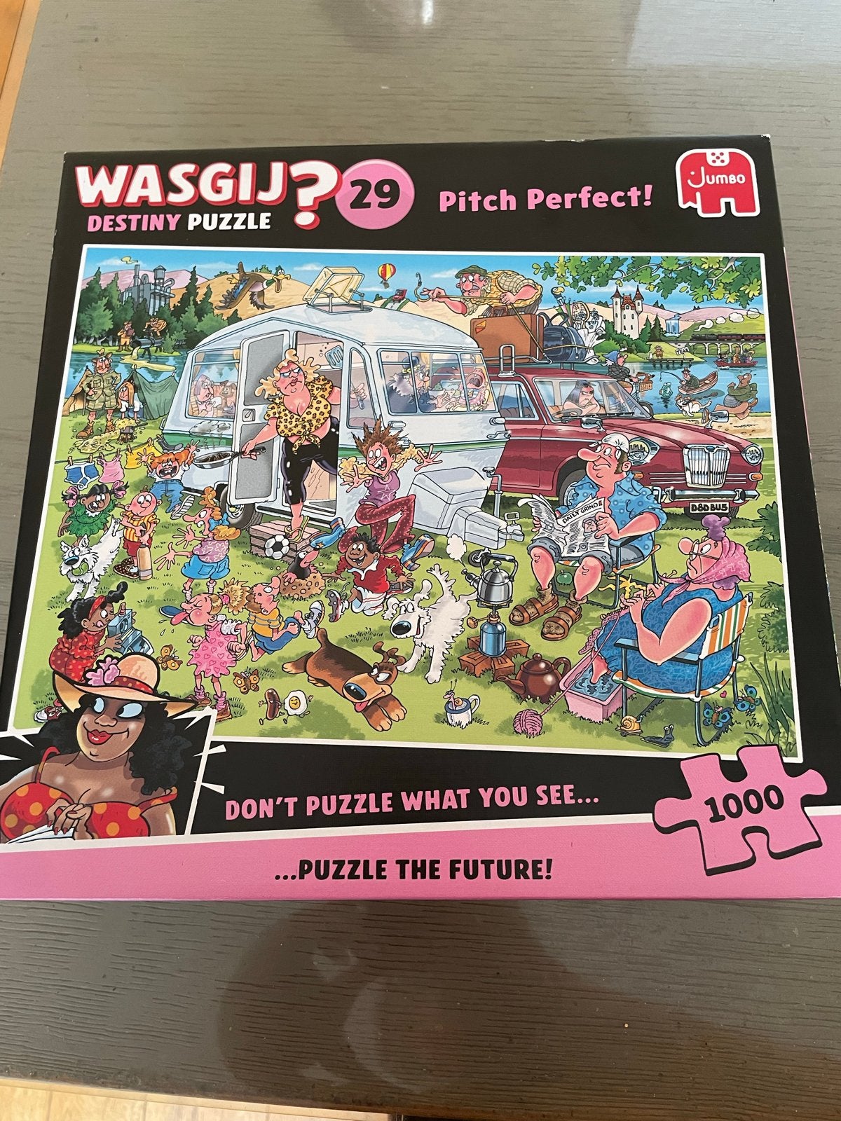 Wasgij? Destiny 29 Pitch Perfect! Legpuzzel 1000 stukjes, Ophalen of Verzenden, 500 t/m 1500 stukjes, Zo goed als nieuw, Legpuzzel