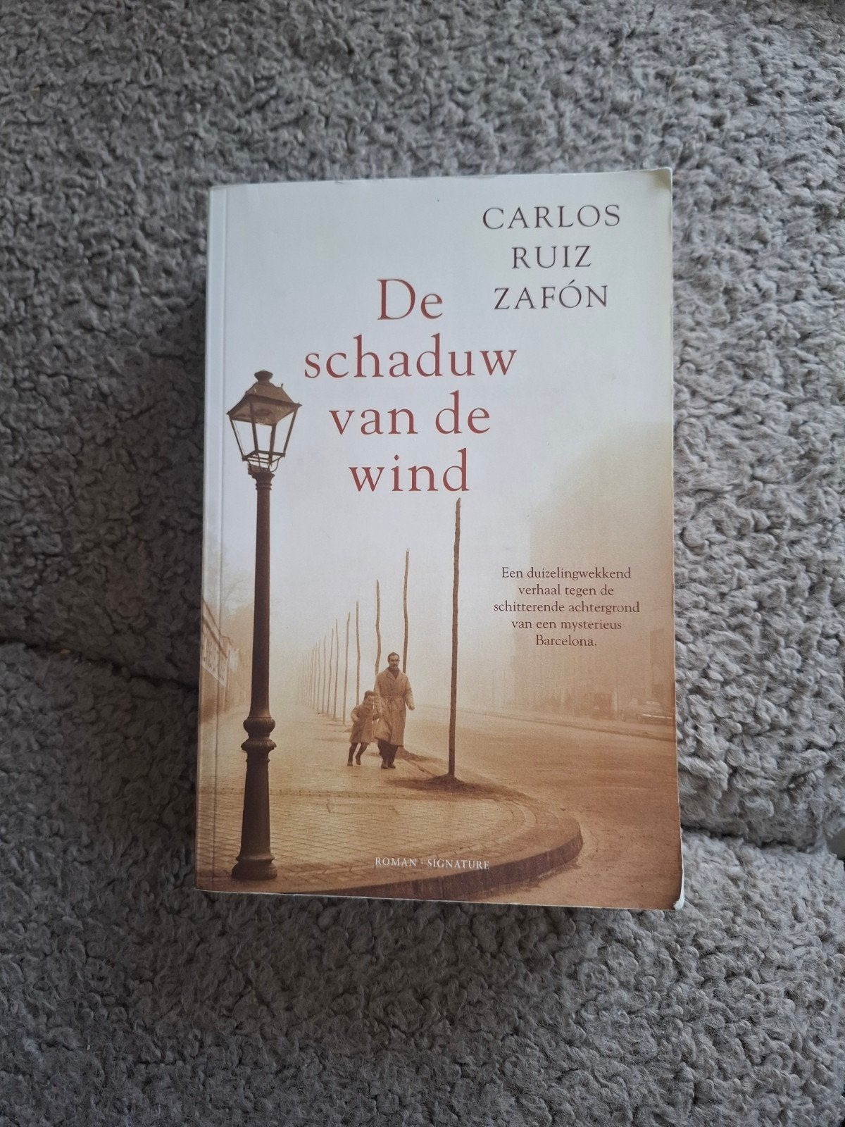 Carlos Ruiz Zafón - De schaduw van de wind, Boeken, Ophalen of Verzenden, Zo goed als nieuw, Carlos Ruiz Zafón