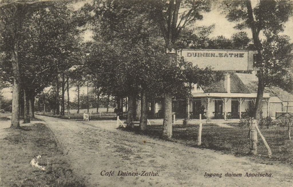 Cafe Duinen-Zathe. - Ingang duinen Appelscha. - 192? gelopen, Verzenden, 1920 tot 1940, Gelopen, Friesland