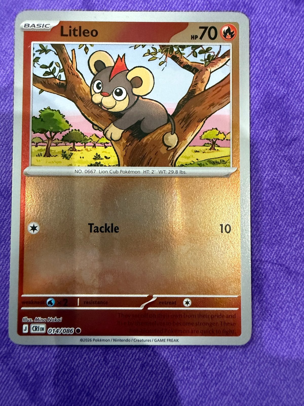 Pokémon Kaart: Litleo (014/086) - Basic - 70 HP, Ophalen of Verzenden, Zo goed als nieuw, Losse kaart