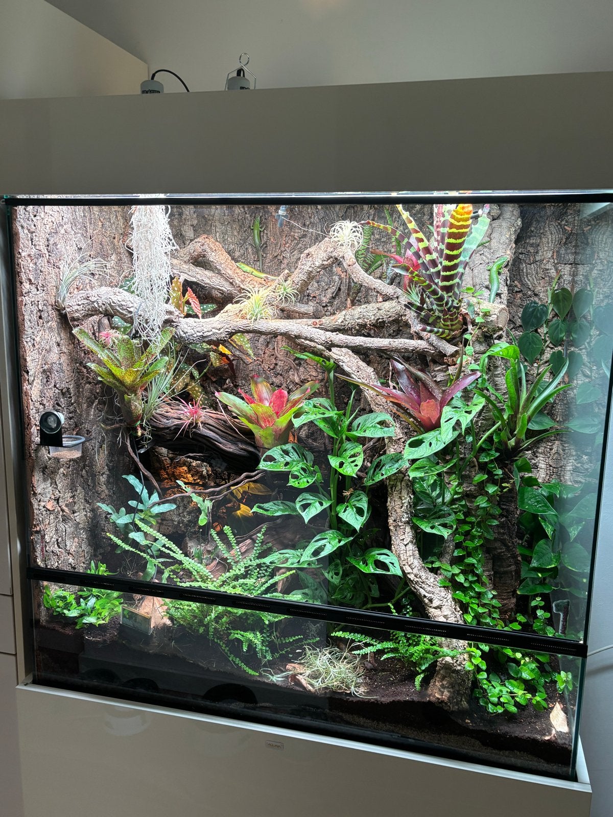 Terrarium 191 hoog 101breed 56 diep, Dieren en Toebehoren, Reptielen en Amfibieën | Toebehoren, Zo goed als nieuw, Ophalen