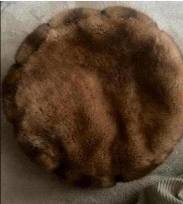 Hoed muts bont one size teddy nieuwstaat, Ophalen of Verzenden, Zo goed als nieuw, One size fits all, Hoed