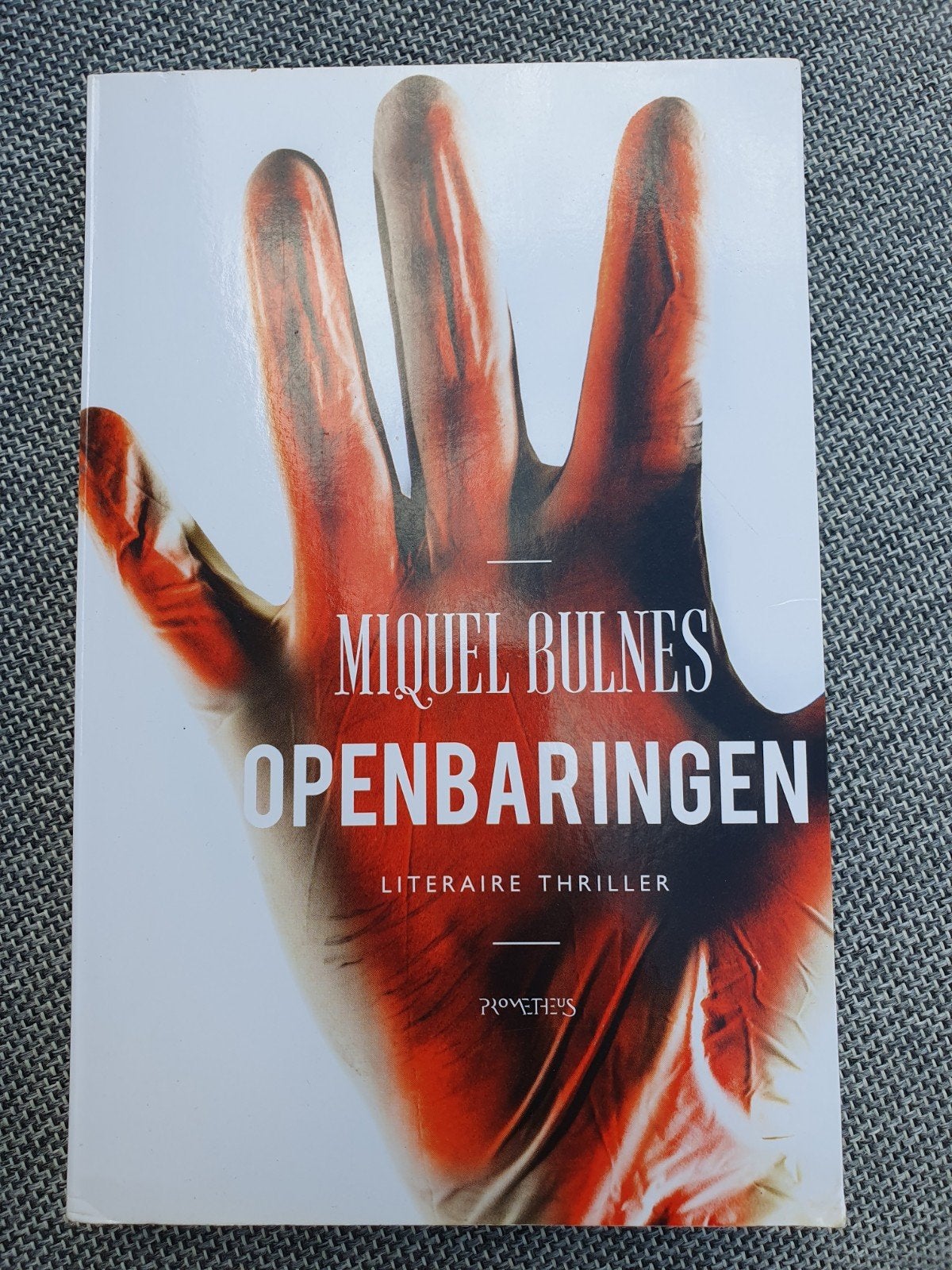 Miquel Bulnes - Openbaringen: Literaire Thriller, Ophalen of Verzenden, Zo goed als nieuw, Miquel Bulnes, Nederland