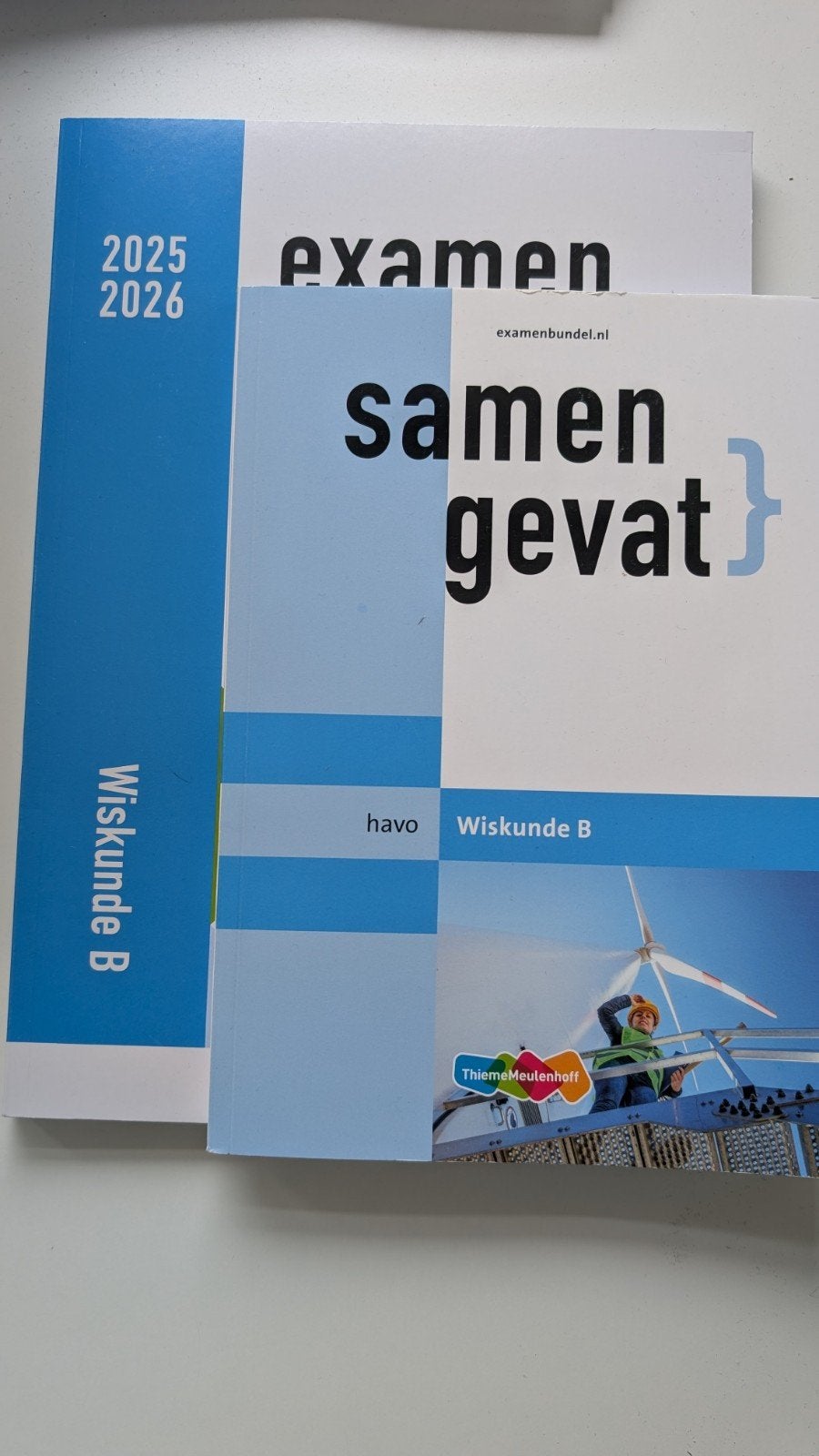 Wiskunde B havo boeken (Samengevat, Examenbundel), Boeken, Ophalen of Verzenden, Beta, Zo goed als nieuw, HBO