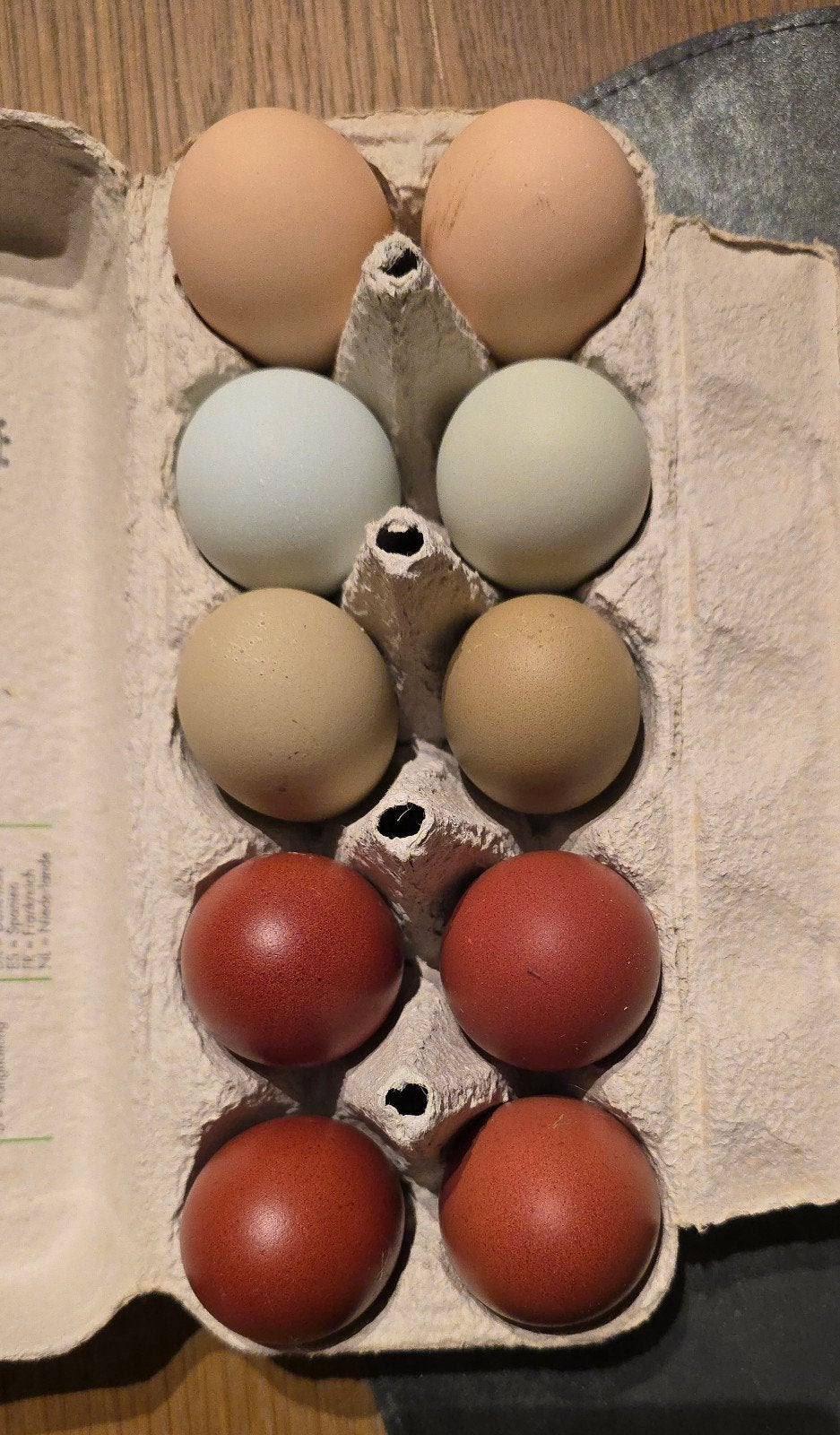 Broedeieren kleurleggers en zuivere Marans, Dieren en Toebehoren, Verzenden, Kippenhok of Kippenren