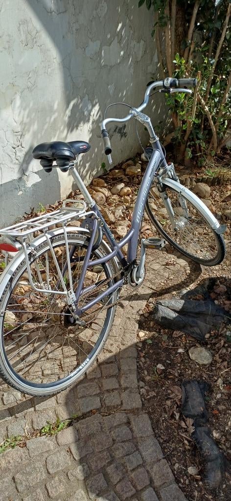 Merdina Hybride Equiped fiets, Ophalen of Verzenden, Gebruikt, Overige merken