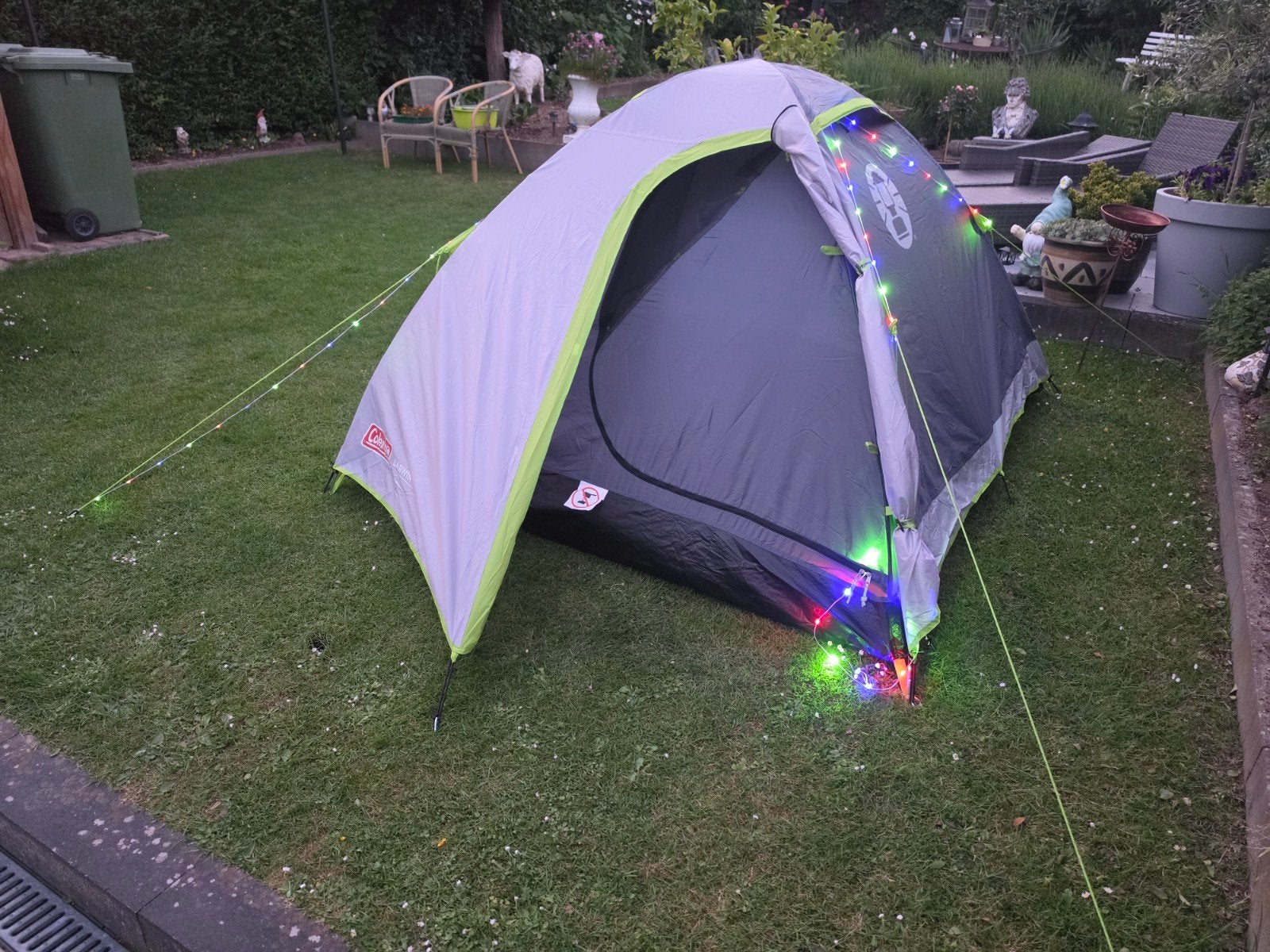 Coleman Darwin 3 Koepeltent - Compact en Lichtgewicht, Ophalen, Nieuw, Tot en met 3
