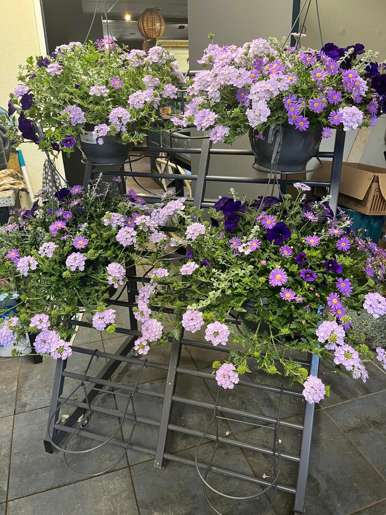 Metalen plantenrek met wielen en bloembakken, Tuin en Terras, Ophalen, 100 cm of meer, Binnen, Zo goed als nieuw