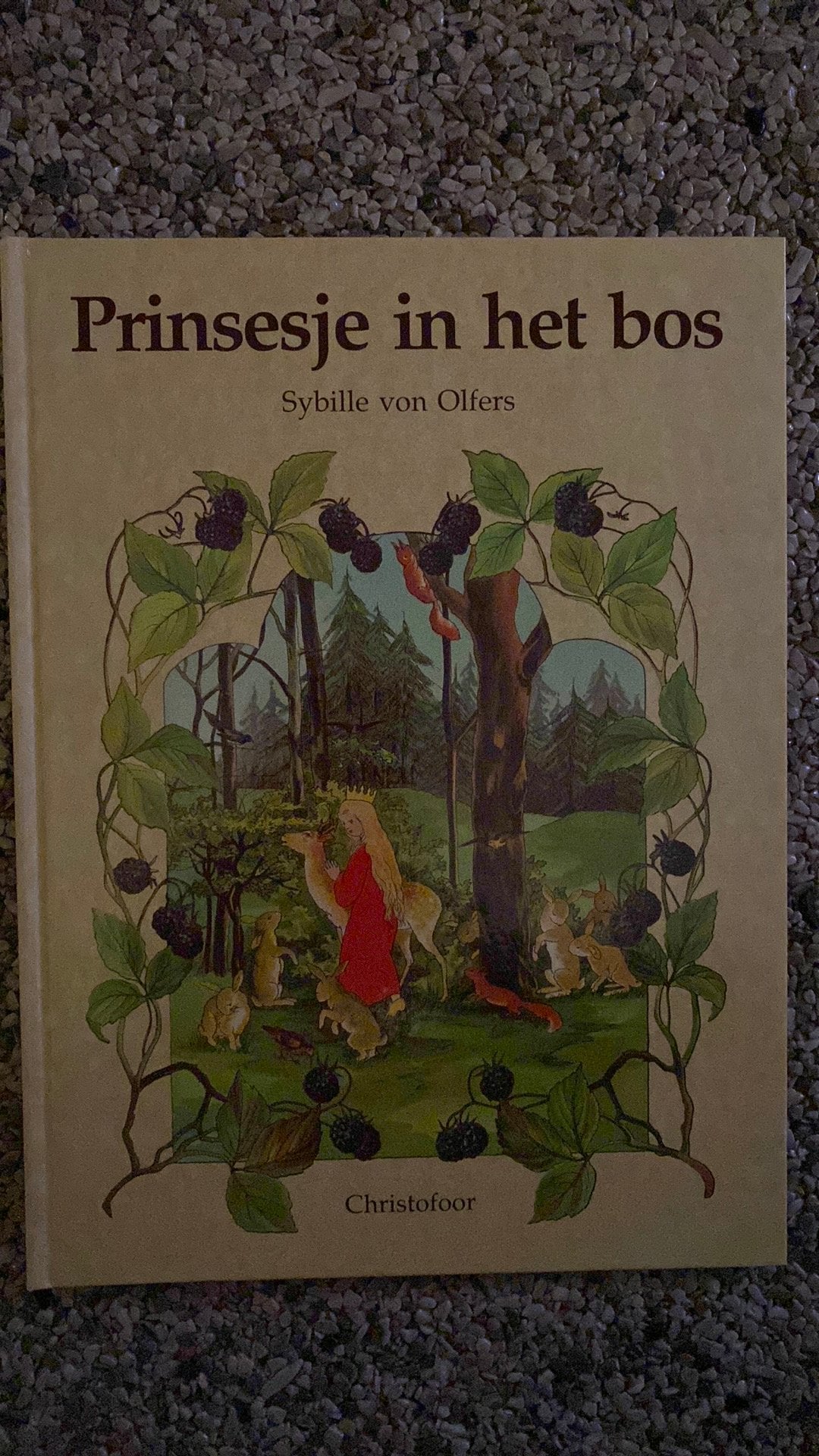 Prinsesje in het bis, Sybille von Olders, ISBN 90-6238-558-3, Ophalen of Verzenden, Zo goed als nieuw
