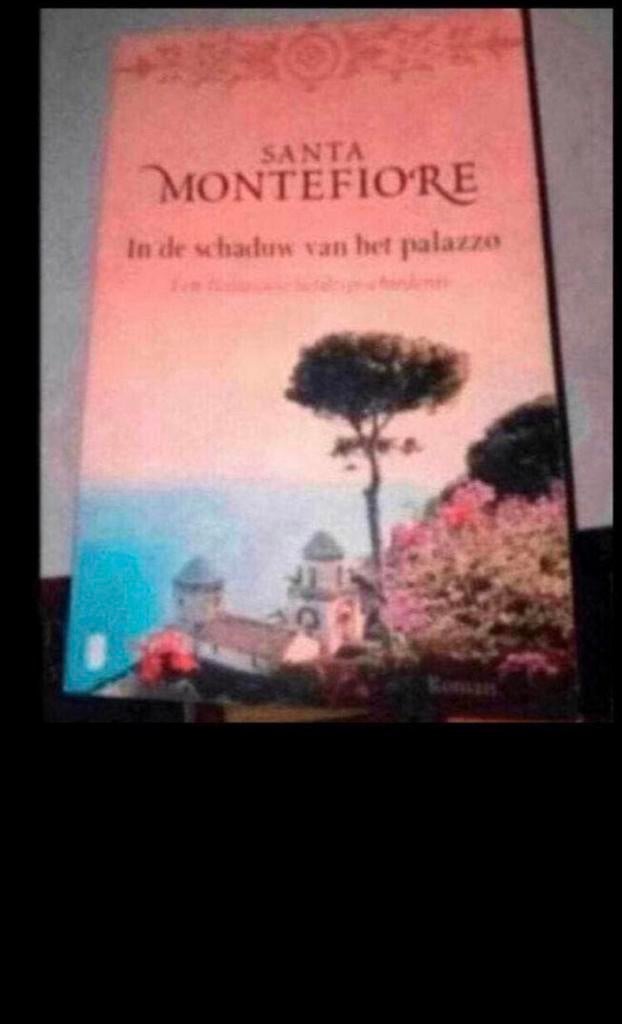 Santa montefiore, Boeken, Romans, Ophalen, Gelezen