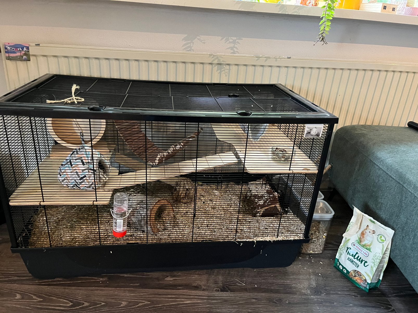Hamsterkooi met toebehoren, Ophalen, Kooi, Gebruikt, 60 tot 90 cm