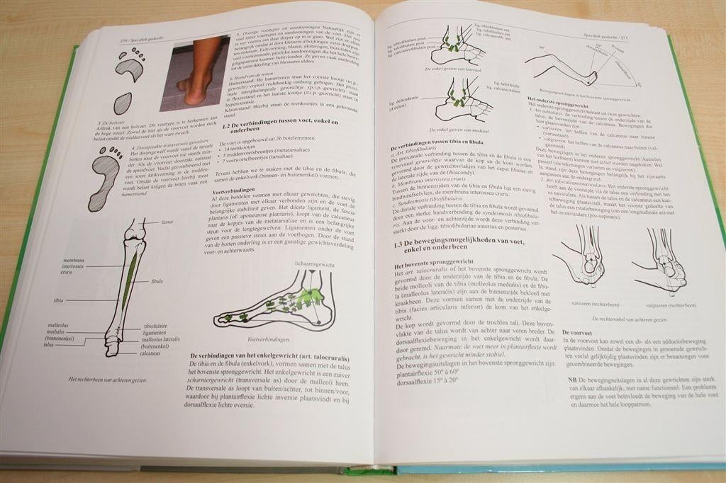 Hét Studieboek voor Sportmassage — Theorie & Praktijk, Ophalen of Verzenden, Gelezen, Watersport en Hengelsport