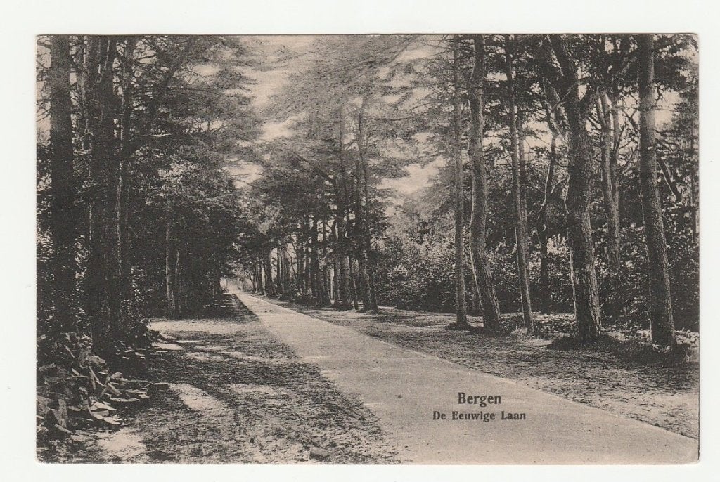Bergen - De Eeuwige Laan (kaart heeft gelopen in 1923), Verzamelen, Ophalen of Verzenden, 1920 tot 1940, Gelopen, Noord-Holland