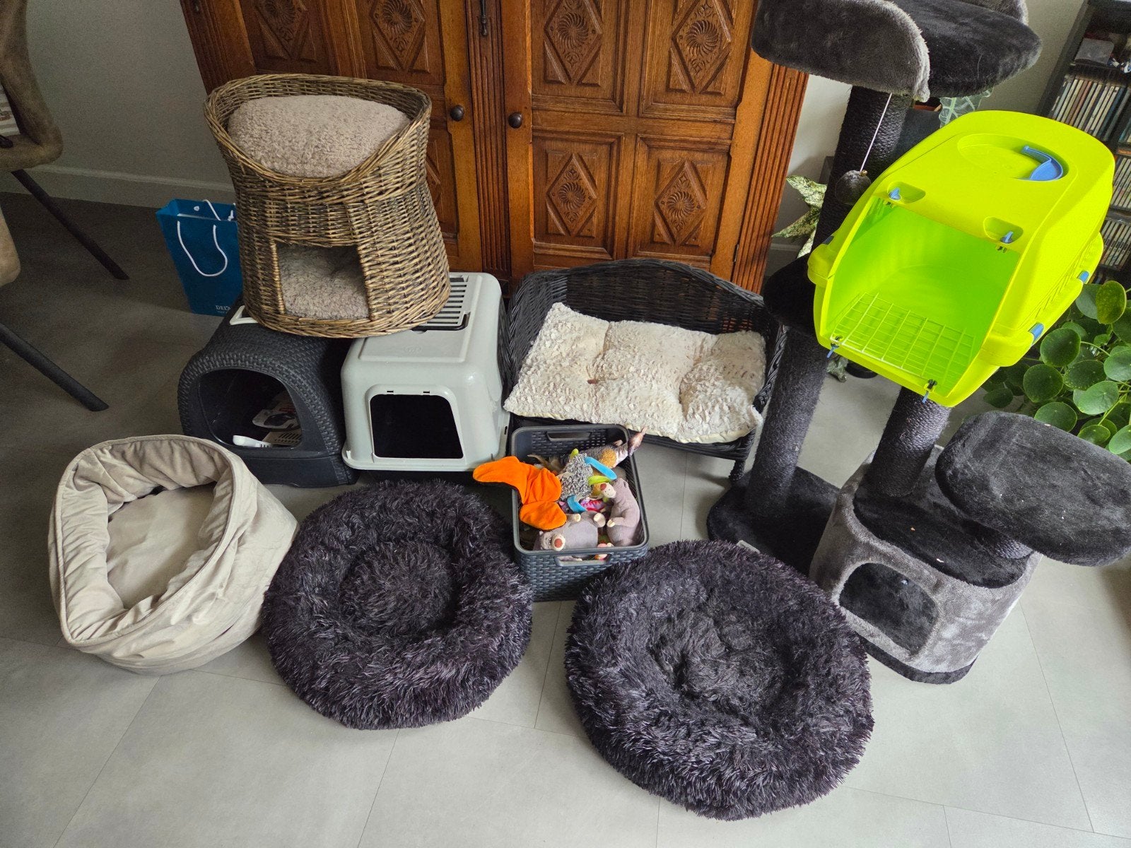 Diverse kattenspullen, Ophalen