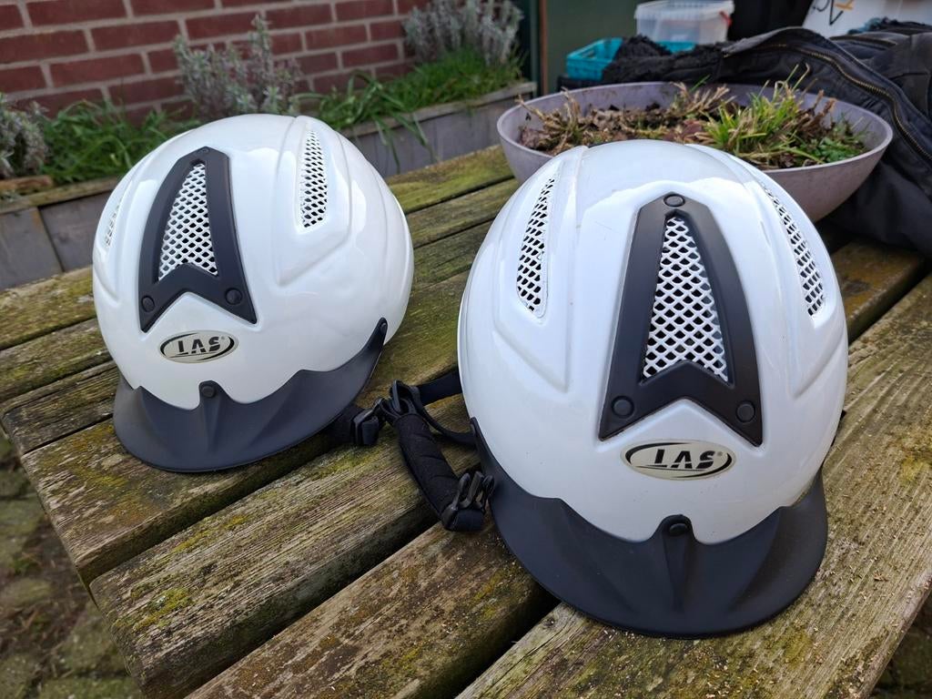 Caps maat L, Dieren en Toebehoren, Ophalen of Verzenden