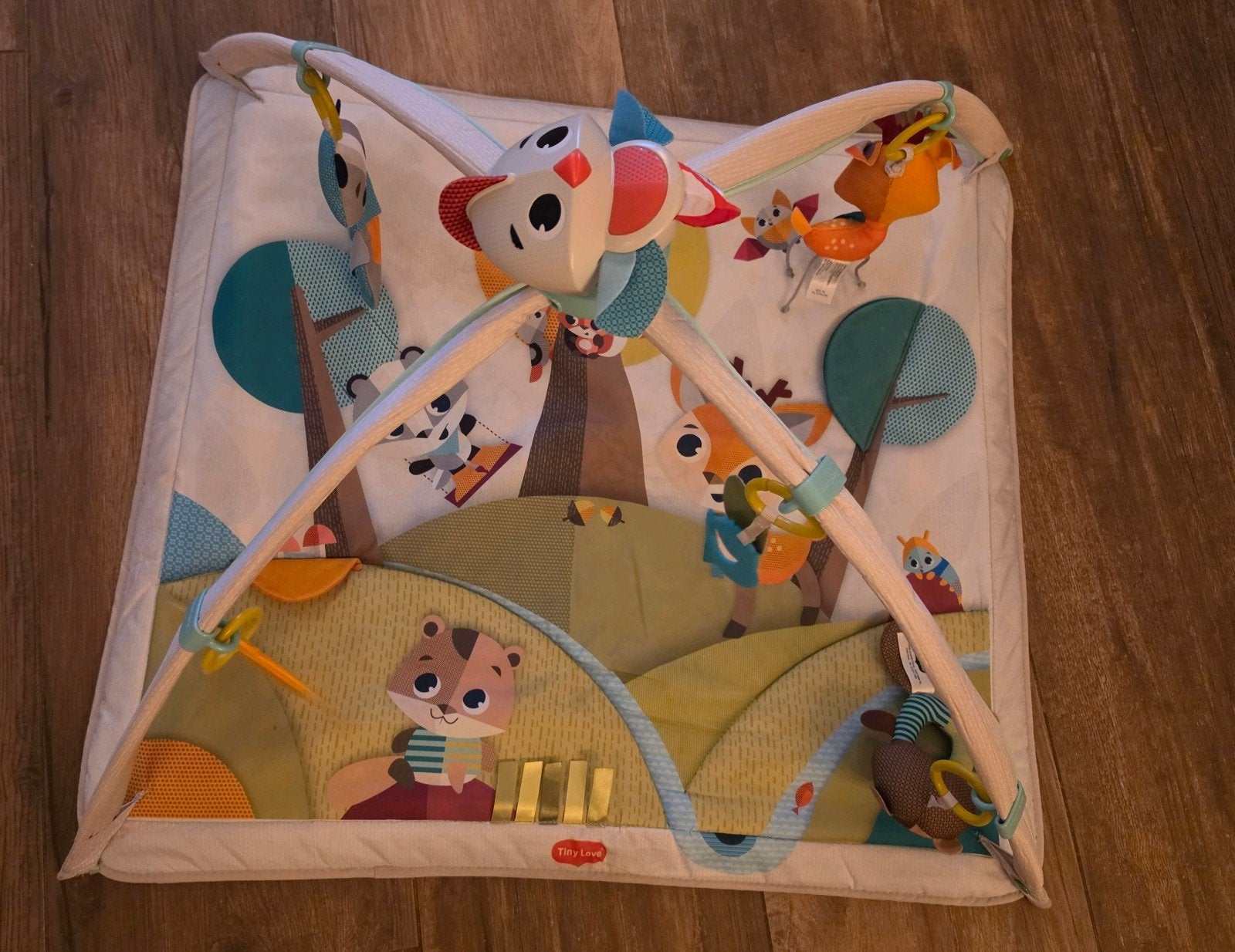 Baby Gym, Ophalen of Verzenden, Gebruikt