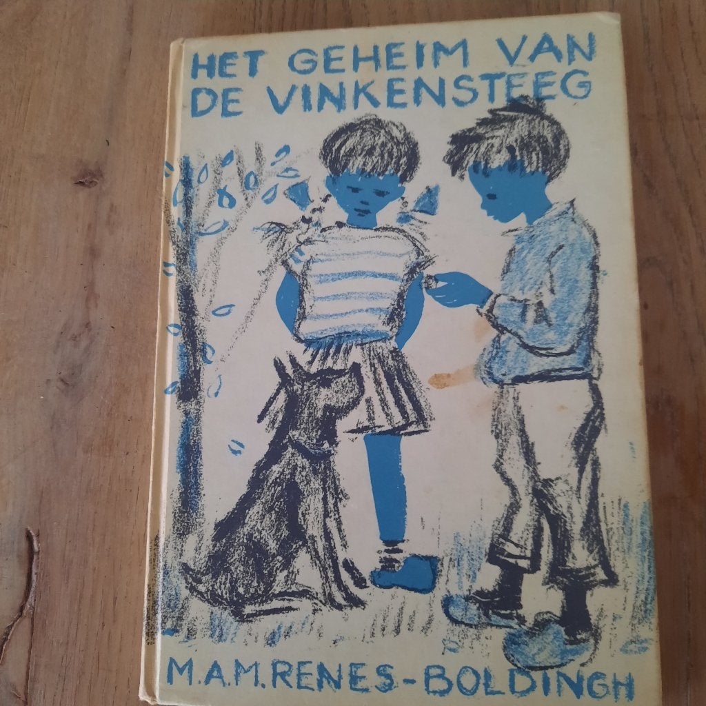 Het geheim van de vinkensteeg m.a.m.renes boldingh, Ophalen of Verzenden, Gelezen, Fictie algemeen